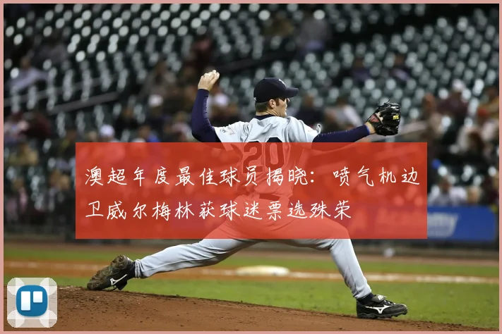 澳超年度最佳球员揭晓:喷气机边卫威尔梅林获球迷票选殊荣